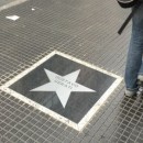 cerati_placa