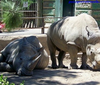 zoo-palermo-buenos-aires-9