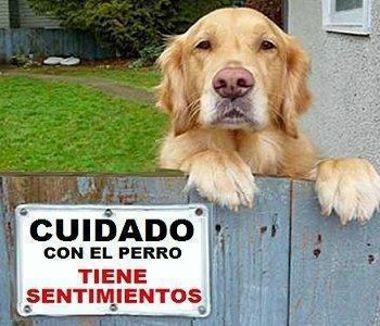 cuidado-con-el-perro