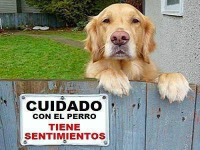 cuidado-con-el-perro