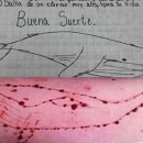 ballena