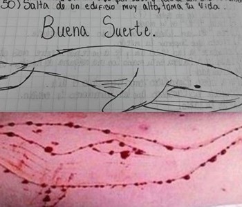 ballena