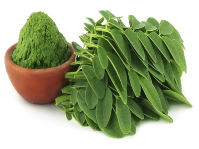 moringa1