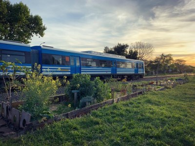 01 de Diciembre-Se inauguró el “Paseo de Plantas Nativas Yolanda Ortiz”, en la Huerta Vecinal de Villa Pueyrredón_