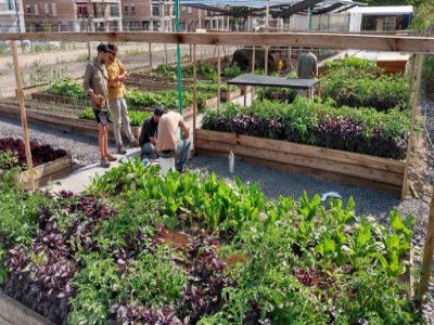 04 de Diciembre-Aprueban una ley para la promoción y difusión de la agricultura urbana en la Ciudad_