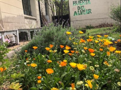 Jardines y huertas orgánicas