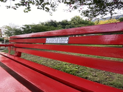 27 de Abril-Para concientizar sobre el maltrato infantil colocaron un Banco Rojo en una Plaza de Balvanera_