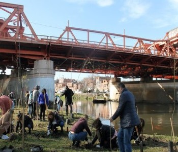 10 de Julio-Por la celebración del Día de la Acción Ambiental por la Cuenca Matanza Riachuelo, plantaron árboles nativos en Villa Soldati_