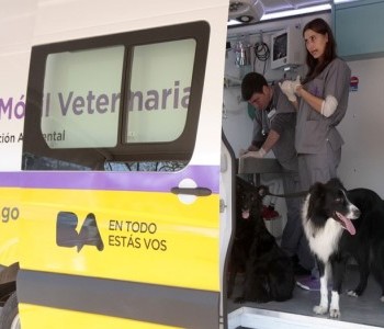 05 de Agosto-Castraciones y atención clínica veterinaria gratuita en la ciudad_