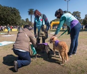 Jornadas de adopción para perros y gatos en el Parque Avellaneda_