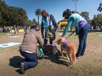 Jornadas de adopción para perros y gatos en el Parque Avellaneda_