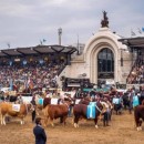 20 de Julio-Comenzó la Exposición Rural de Palermo con numerosas propuestas para compartir en familia_