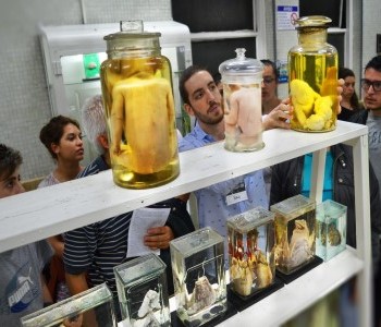 13 de Agosto-Proponen declarar de “Interés Cultural” a las actividades educativas del Museo de Patología de la Universidad de Buenos Aires_