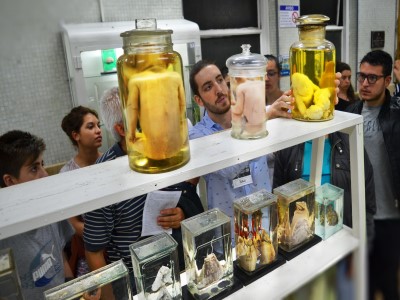 13 de Agosto-Proponen declarar de “Interés Cultural” a las actividades educativas del Museo de Patología de la Universidad de Buenos Aires_
